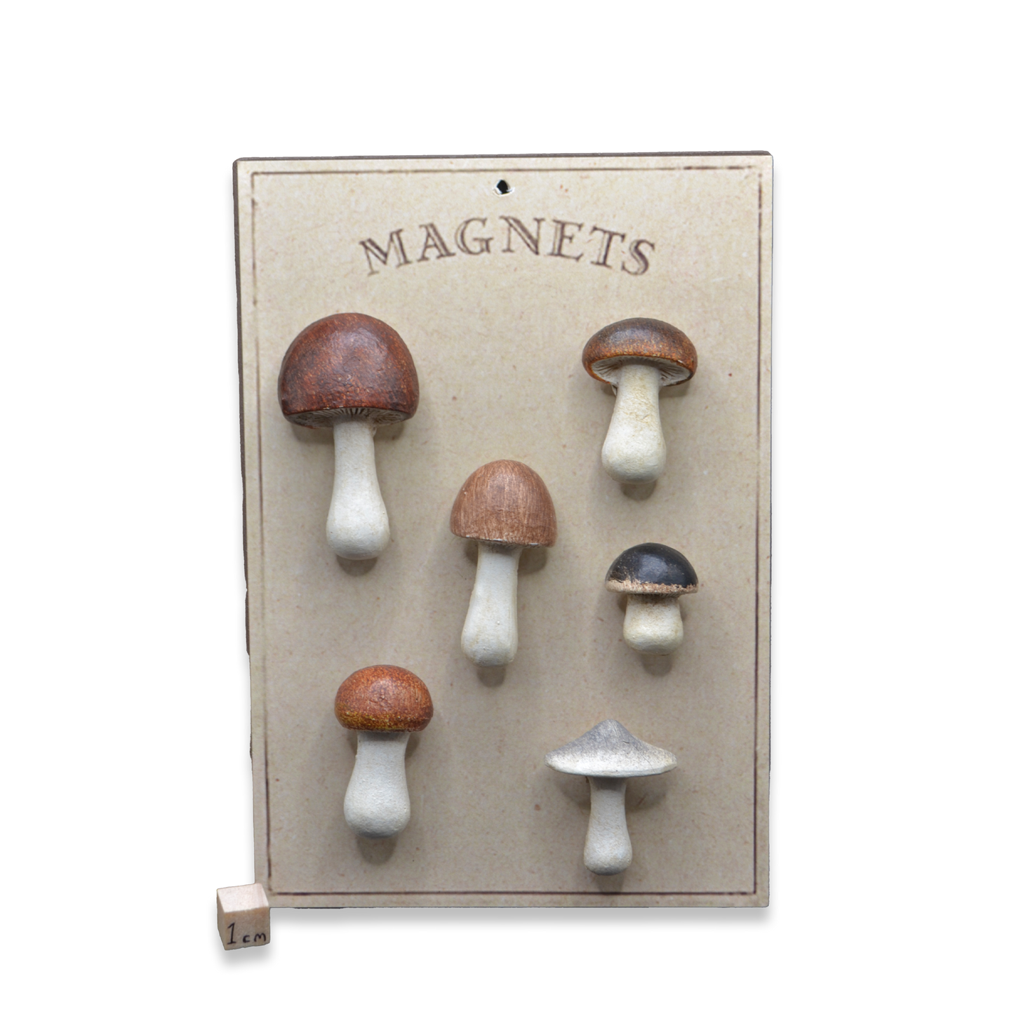 Mushroom Fridge Magnet Set