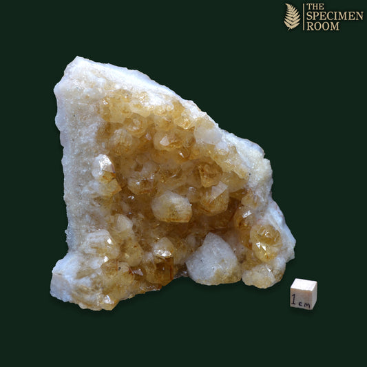 Cut Base Citrine (Heat Treated) – Small