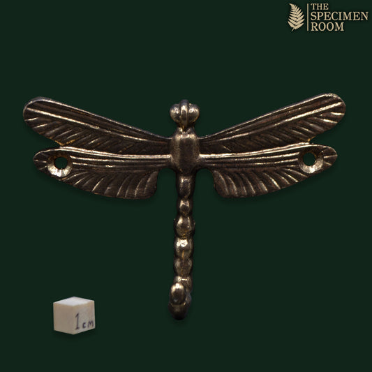 Antique Brass Dragonfly Wall Hook