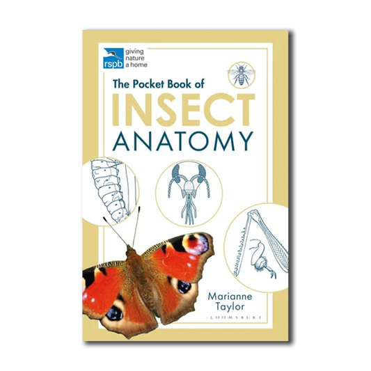 The Pocket Book of Insect Anatomy by Marianne Taylor - Paperback