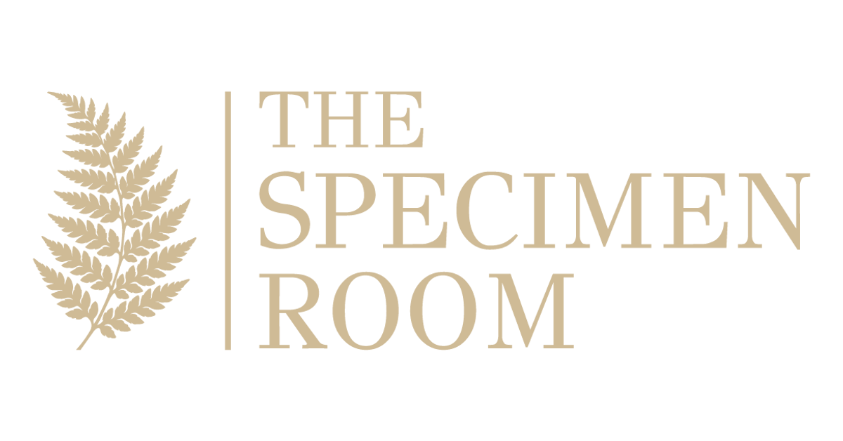 The Specimen Room Ltd | Pinned Insects, Taxidermy, Fossils & More – The ...