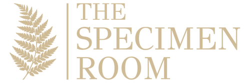 The Specimen Room Ltd