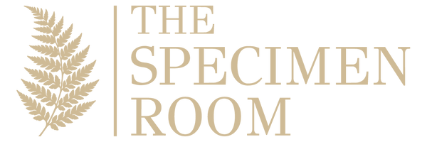 The Specimen Room
