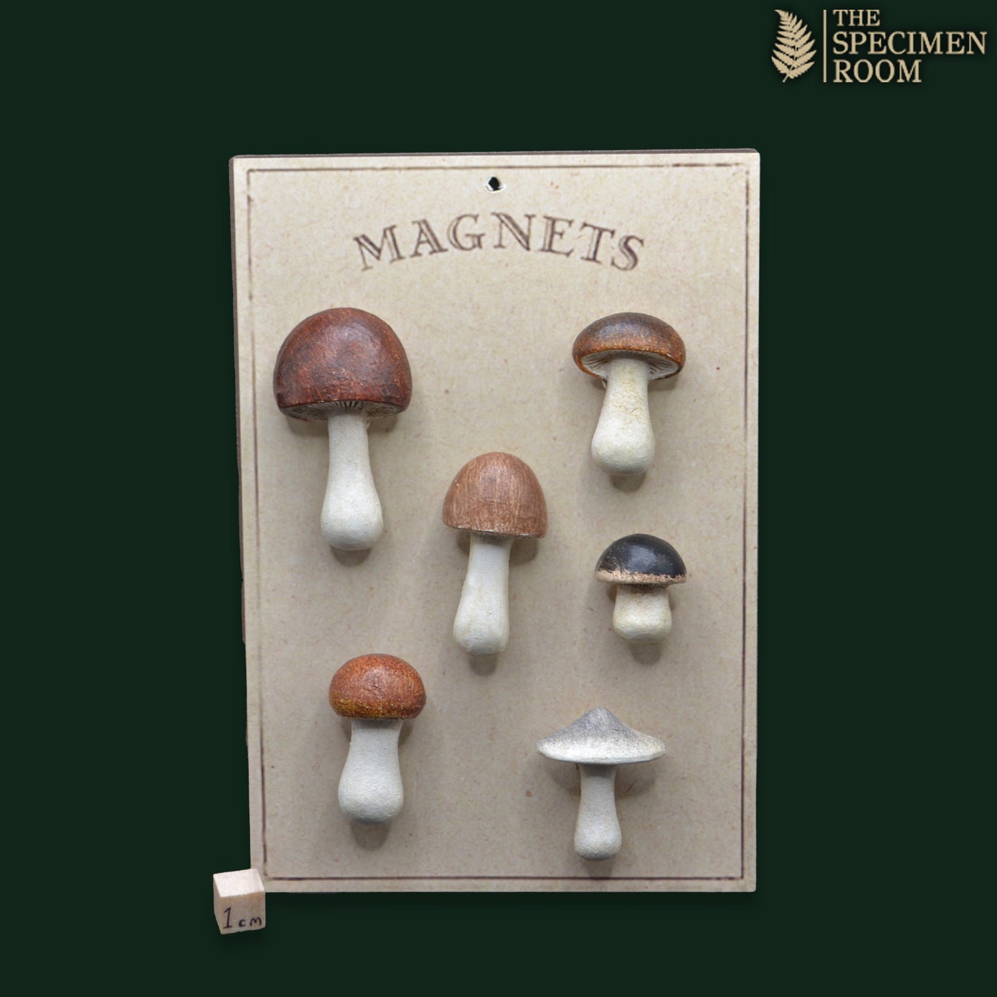 Mushroom Fridge Magnet Set