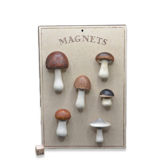 Mushroom Fridge Magnet Set