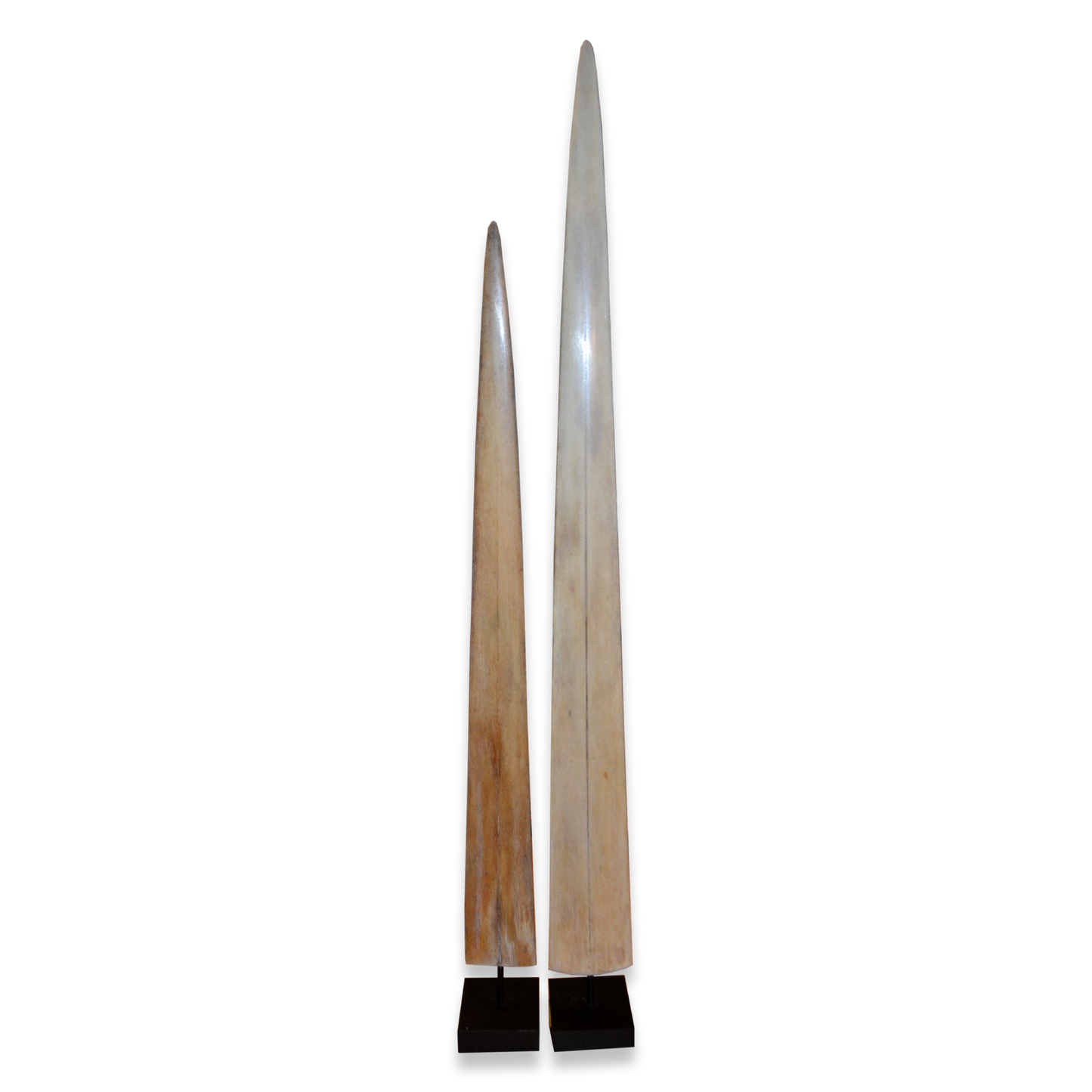 Pair of Mounted Swordfish Rostrum (Xiphias gladius) on Custom Pedestals