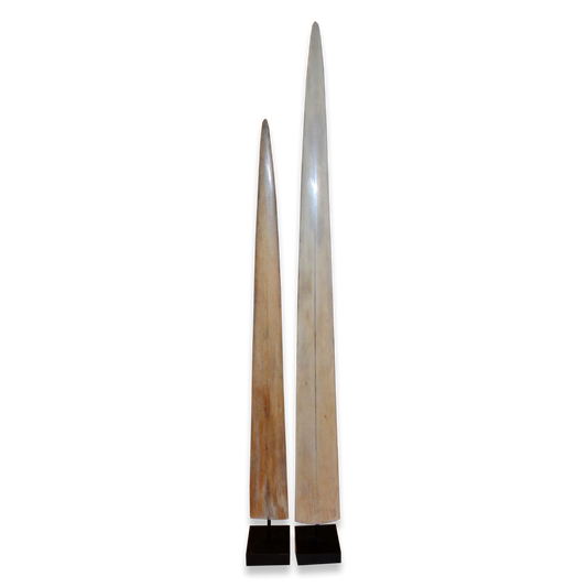 Pair of Mounted Swordfish Rostrum (Xiphias gladius) on Custom Pedestals