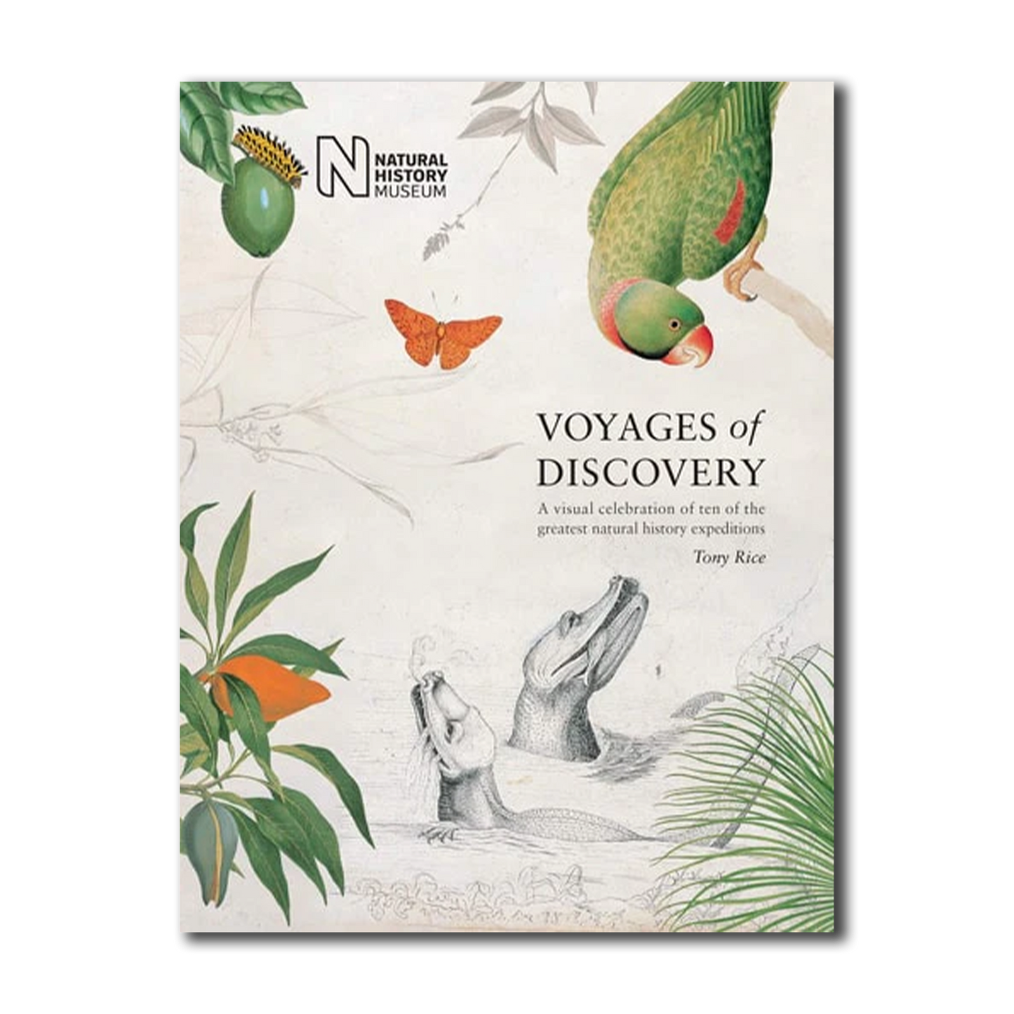 Voyages of Discovery: A Visual Celebration of Ten of the Greatest Natural History Expeditions by Tony Rice - Hardcover